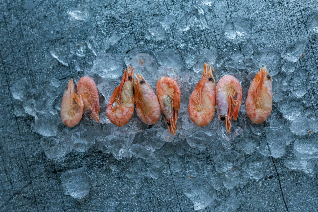 Impianti di refrigerazione HoReCa per i professionisti della Toscana