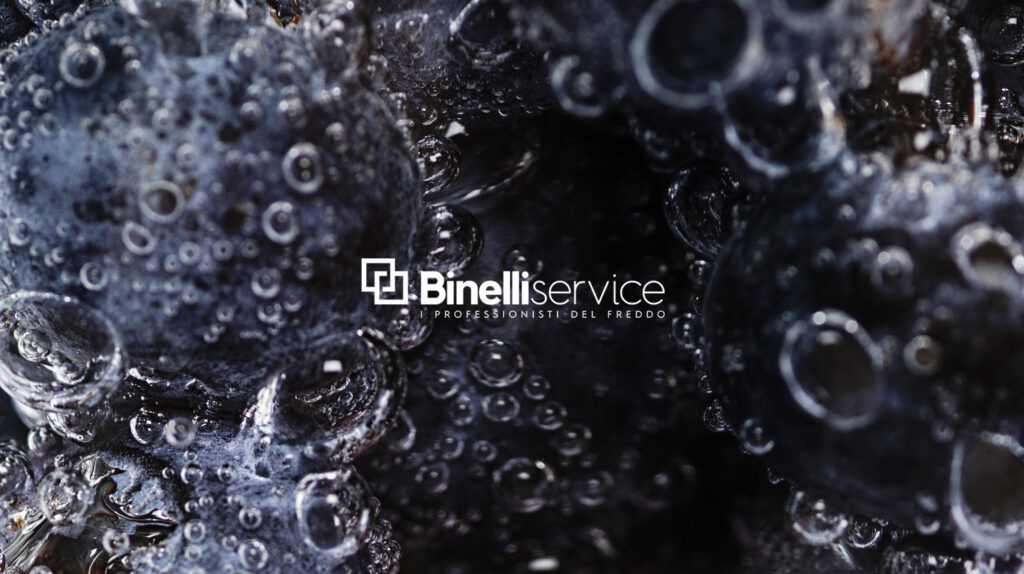 GLI IMPIANTI E LE SOLUZIONI PER LA REFRIGERAZIONE DEL VINO E DELLE CANTINE? TRA LE PASSIONI BINELLI SERVICE! - La CO2 negli impianti di refrigerazione
