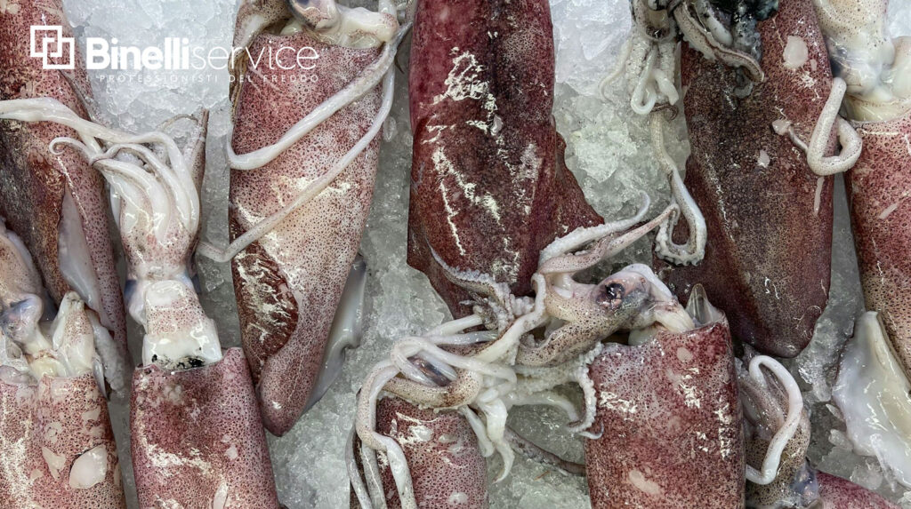 Il freddo aiuta a conservare gli alimenti sin dai tempi più antichi. Il freddo rallenta la crescita dei microrganismi presenti nel cibo e..