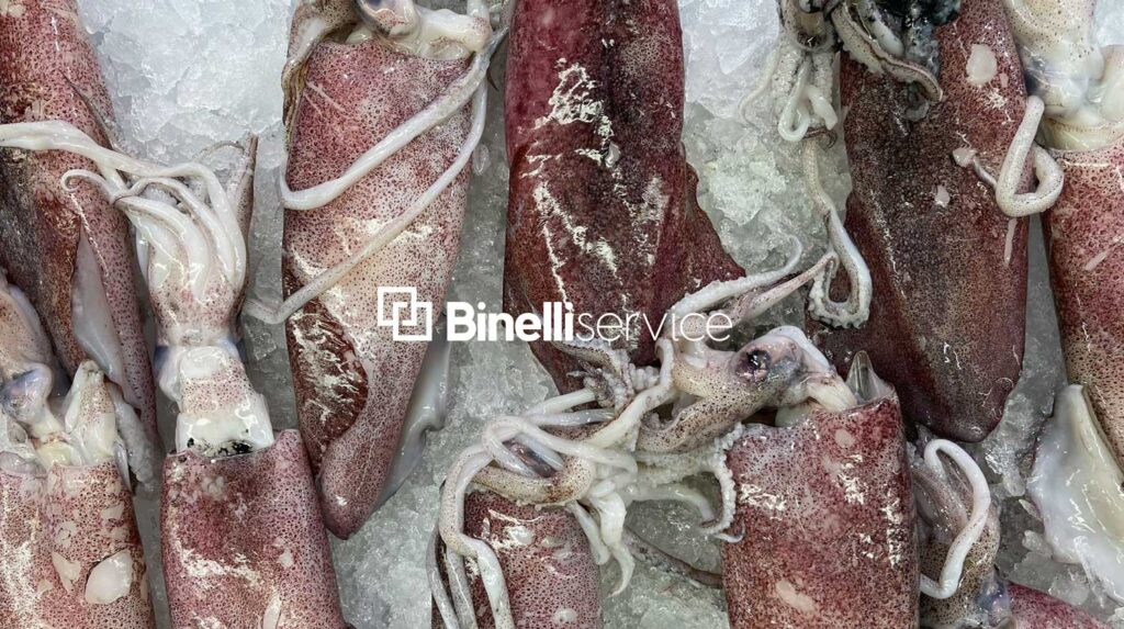 Il freddo aiuta a conservare gli alimenti sin dai tempi più antichi. Il freddo rallenta la crescita dei microrganismi presenti nel cibo e..