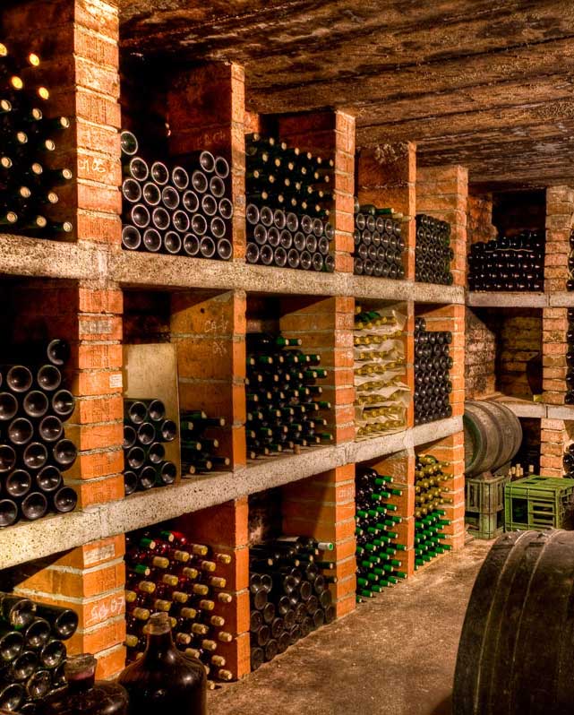 Refrigerazione del vino: cantine commerciali e private