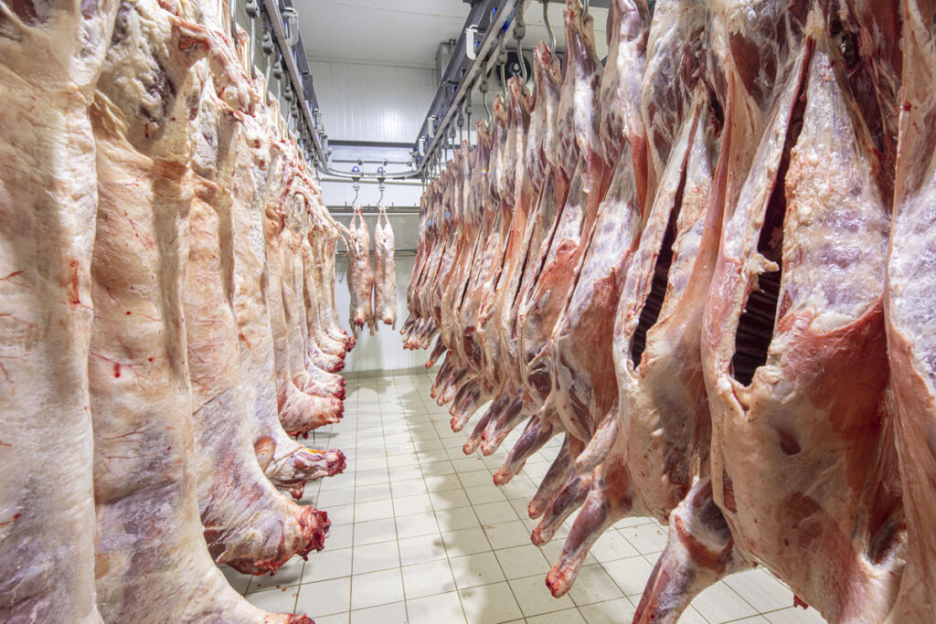 assistenza, riparazione, manutenzione, progettazione impianti frigo centralizzati