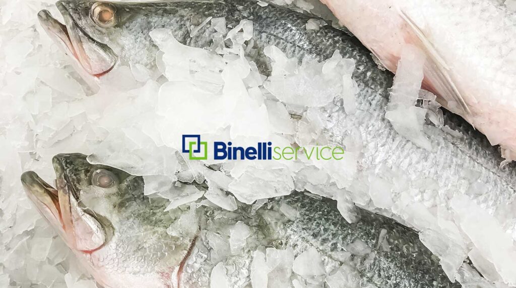 Come scegliere il frigorifero professionale per il pesce: la (video) guida di Binelli Service per la conservazione perfetta