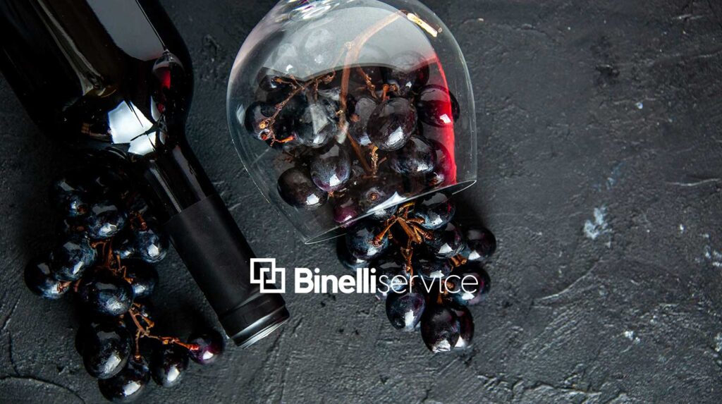 Una guida sulla refrigerazione per cantine vinicole private o professionali a cura degli specialisti della refrigerazione di Binelli Service